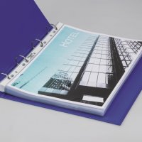 Koszulka krystaliczna PP DURABLE A4 (100) folia 48mic BUSINESS 267219