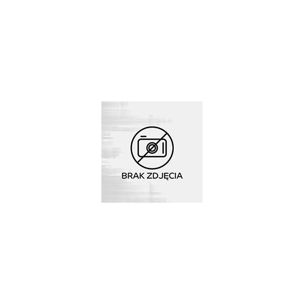 Herbata VITAX Inspirations, zielona z cytryną, 20 torebek