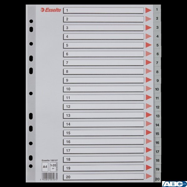 Przekładki plastikowe numeryczne A4 1-20 szare ESSELTE 100107