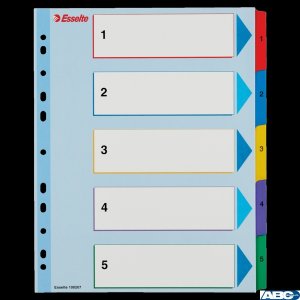 Przekładki kartonowe MYLAR A4 MAXI 1-5 ESSELTE 100207