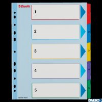 Przekładki kartonowe MYLAR A4 MAXI 1-5 ESSELTE 100207