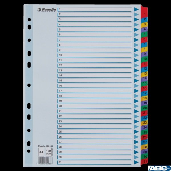 Przekładki kartonowe MYLAR A4 1-31 100164 białe ESSELTE
