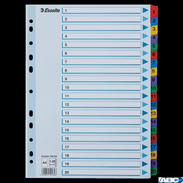 Przekładki kartonowe MYLAR A4 1-20 100163 białe ESSELTE