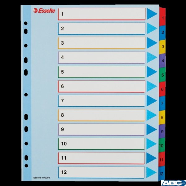 Przekładki kartonowe MYLAR A4 MAXI 1-12 ESSELTE 100209