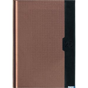 Kalendarz A-5 STANDARD książkowy (KS1), 22 - złoty linea  /  czarny 2025 TELEGRAPH