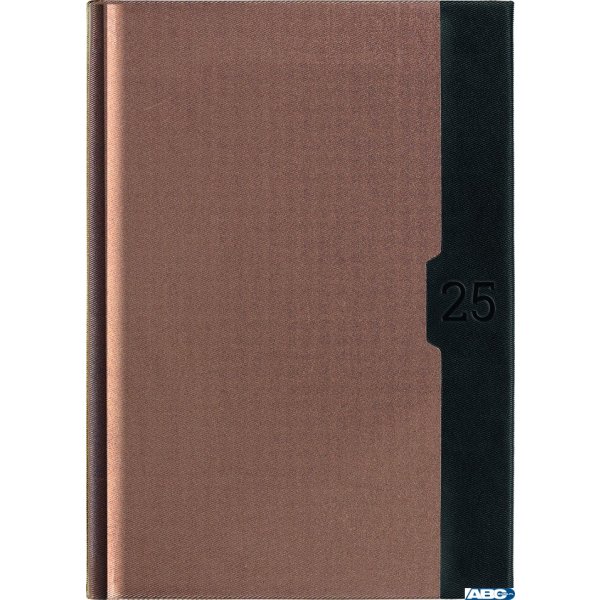 Kalendarz A-5 STANDARD książkowy (KS1), 22 - złoty linea / czarny 2025 TELEGRAPH