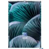 Kalendarz Ścienny 2025 A3 Oxford Nature Pion 400192375