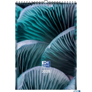 Kalendarz Ścienny 2025 A3 Oxford Nature Pion 400192375