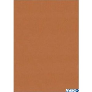 Karton wiz.A4 miedz.metal.W68 (10) KRESKA (X)