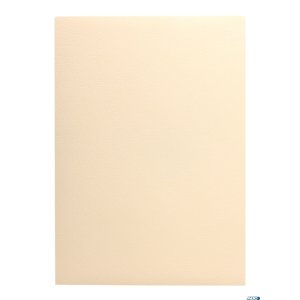Karton wizytówkowy A4 W19 tłoczony (20 arkuszy) 246g KRESKA
