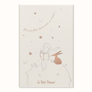 Zestaw MOLESKINE Pro Mały Książę, notes w linie  +  niedatowany planer L, edycja limitowana, w pudełku