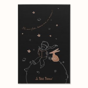 Notes MOLESKINE Pro Mały Książę, L, w linie, edycja limitowana, w pudełku