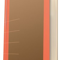 Notatnik DONAU Life, organizer, 165x230mm, 80 kart., pomarańczowy