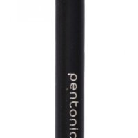 Długopis LINC Pentonic, śr. kulki 0,7mm, gr. linii 0,3mm, czarny