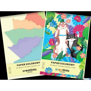 PAPIER KOLOROWY TOP 2000 CREATINIO A4 10K 80G 400176684