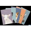 Zeszyt TOP ANIMAL A5 96K 70G kratka 400169467 Top 2000