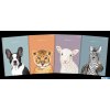 Brulion TOP ANIMAL SZY A5 96K 70G linia 400169480 Top 2000