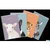 Zeszyt do słówek TOP ANIMAL A6 32K 70G kratka 400169485 Top 2000