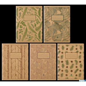 Zeszyt Go Green A5 60k 70g okładka kraft 225g kratka z marginesem 400153377 TOP-2000