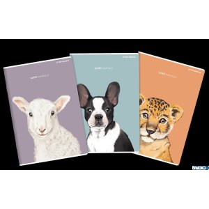 Zeszyt TOP ANIMAL A4 60K 70G linia 400170847 Top 2000