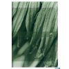 Kalendarz Oxford Nature 10x15 2025 Mix 400189670