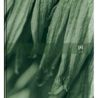 Kalendarz Oxford Nature 10x15 2025 Mix 400189670