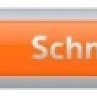 Zakreślacz SCHNEIDER Shine-Up, 1-4mm, pomarańczowy