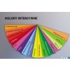 Papier xero A4 160g 1029 słoneczny TROPHEE 250ark xca41029