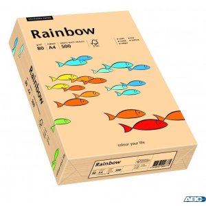 Papier xero kolorowy RAINBOW łosiosiowy R40 88042497