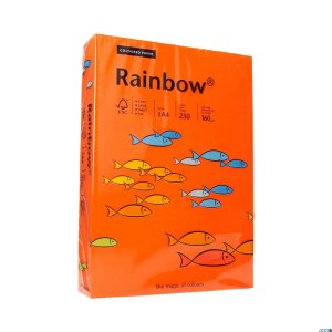 Papier xero A4 160g c.pomarań.R26 RAINBOW 88042461