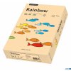 Papier xero A4 160g j.różowy 250a R54 RAINBOW 88042527 / 23
