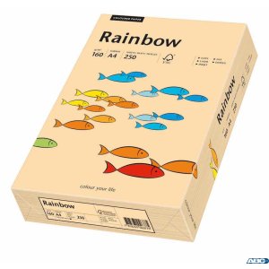 Papier xero A4 160g j.różowy 250a R54 RAINBOW 88042527 / 23