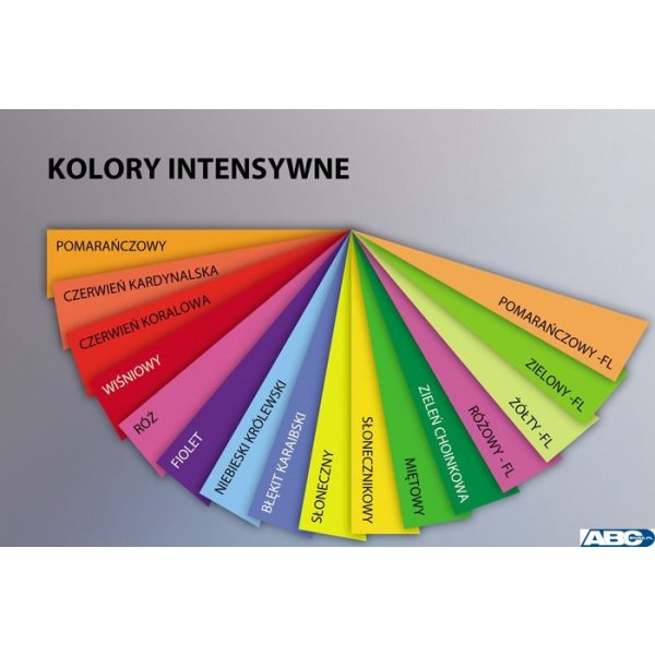 Papier xero A4 80g pomarańczowy TROPHEE 2978  500ark (X)