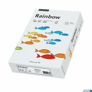 Pap.xero A4 160 j.szary 250aR93 RAINBOW 88042791 / 84 (X)