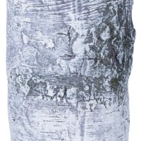 Świeca słupek DONAU HOME Brzoza, 70x120mm, biały