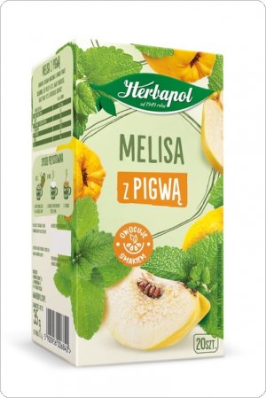 Herbata HERBAPOL Zielnik Polski Melisa z pigwą 20 torebek /35g