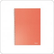 Kołonotatnik Colour Breeze A5, w kratkę, 80 kartek, koralowy Esselte 628468