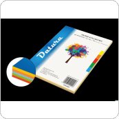 Papier xero kolorowy DOTTS A4 80g (100) mix pastelowy Papiery kolorowe